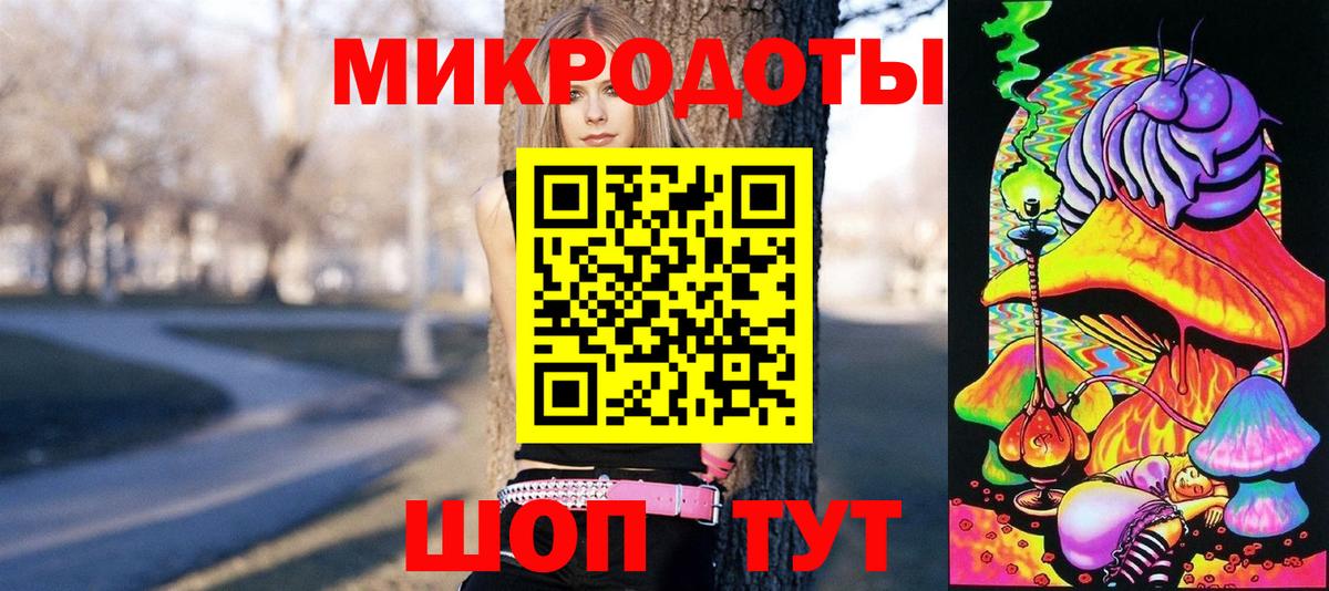 Псилоцибиновые грибы Cubensis Норильск