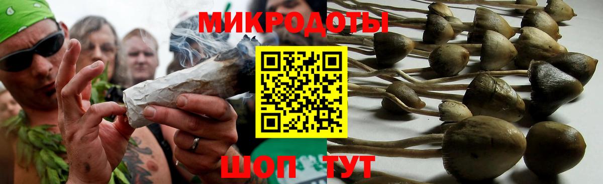 Норильск  Галлюциногенные грибы мухоморы  Вход с VPN 